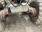 General Appearance with Paint