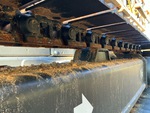Undercarriage with Left Track Links