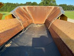 Conveyor/Rollers with