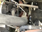 Engine with Exhaust System