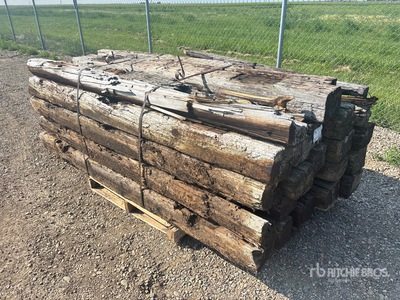 Qty of 25 Railroad ties