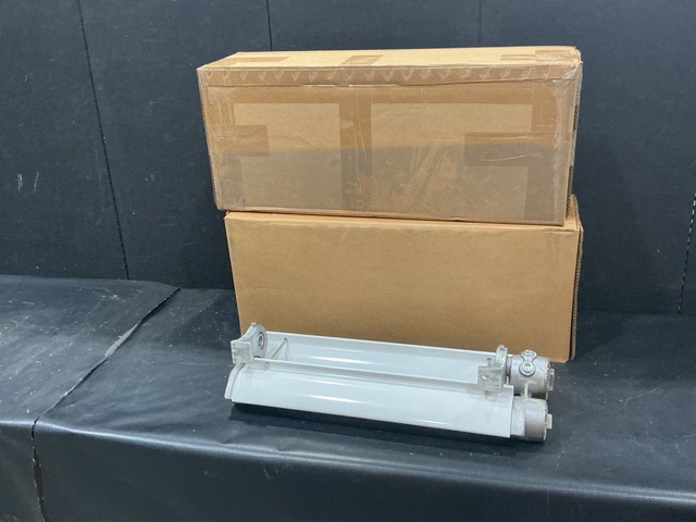 (8) Larson EPL-24-2L-197 Lighting Fixtures