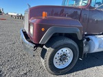 General Appearance with Paint