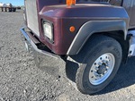 General Appearance with Paint