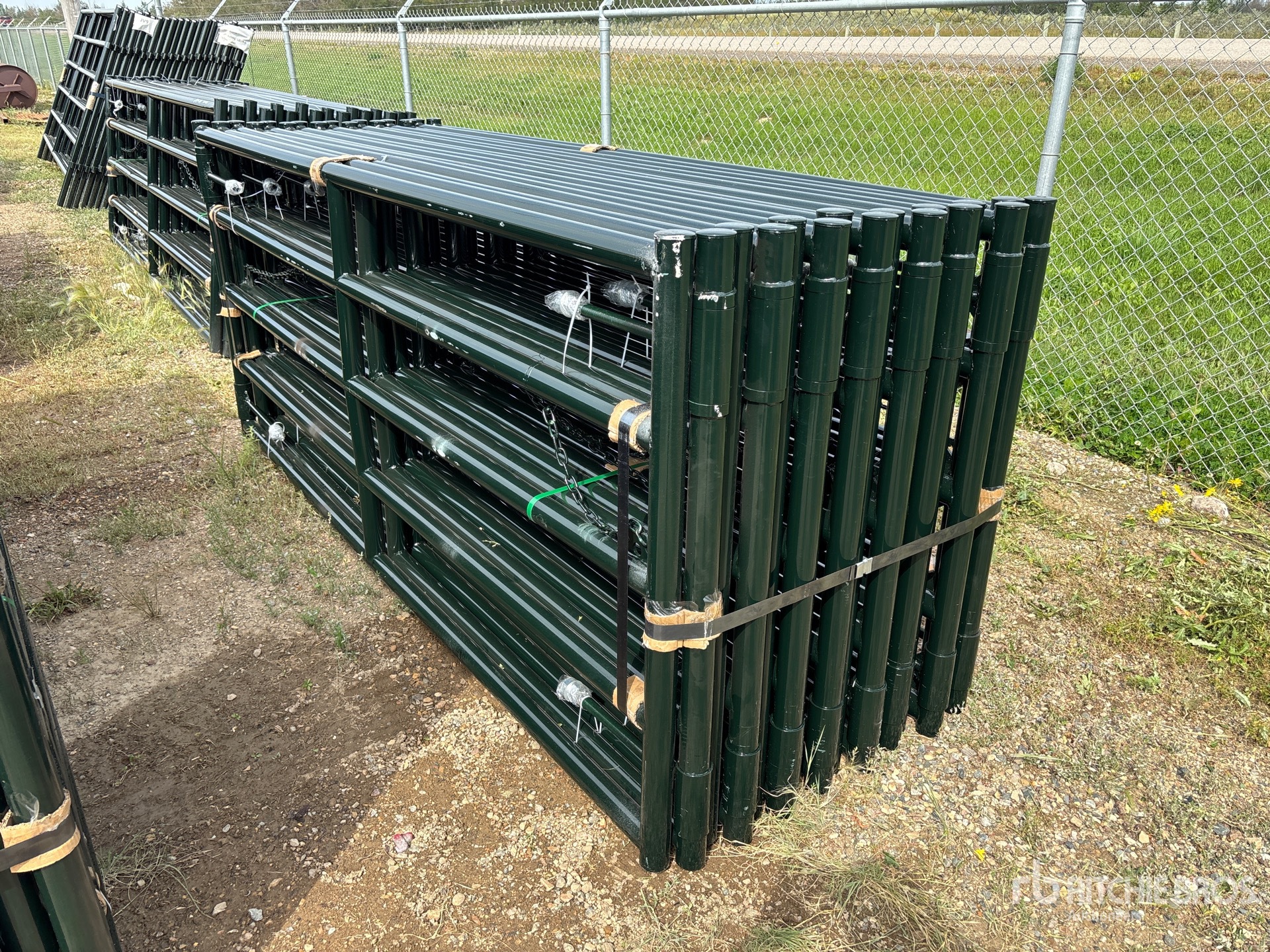 Quantity of (16) 2026 BYT MRG100 10 ft x 4 ft Magnum Ranch Livestock Gate (Unused)