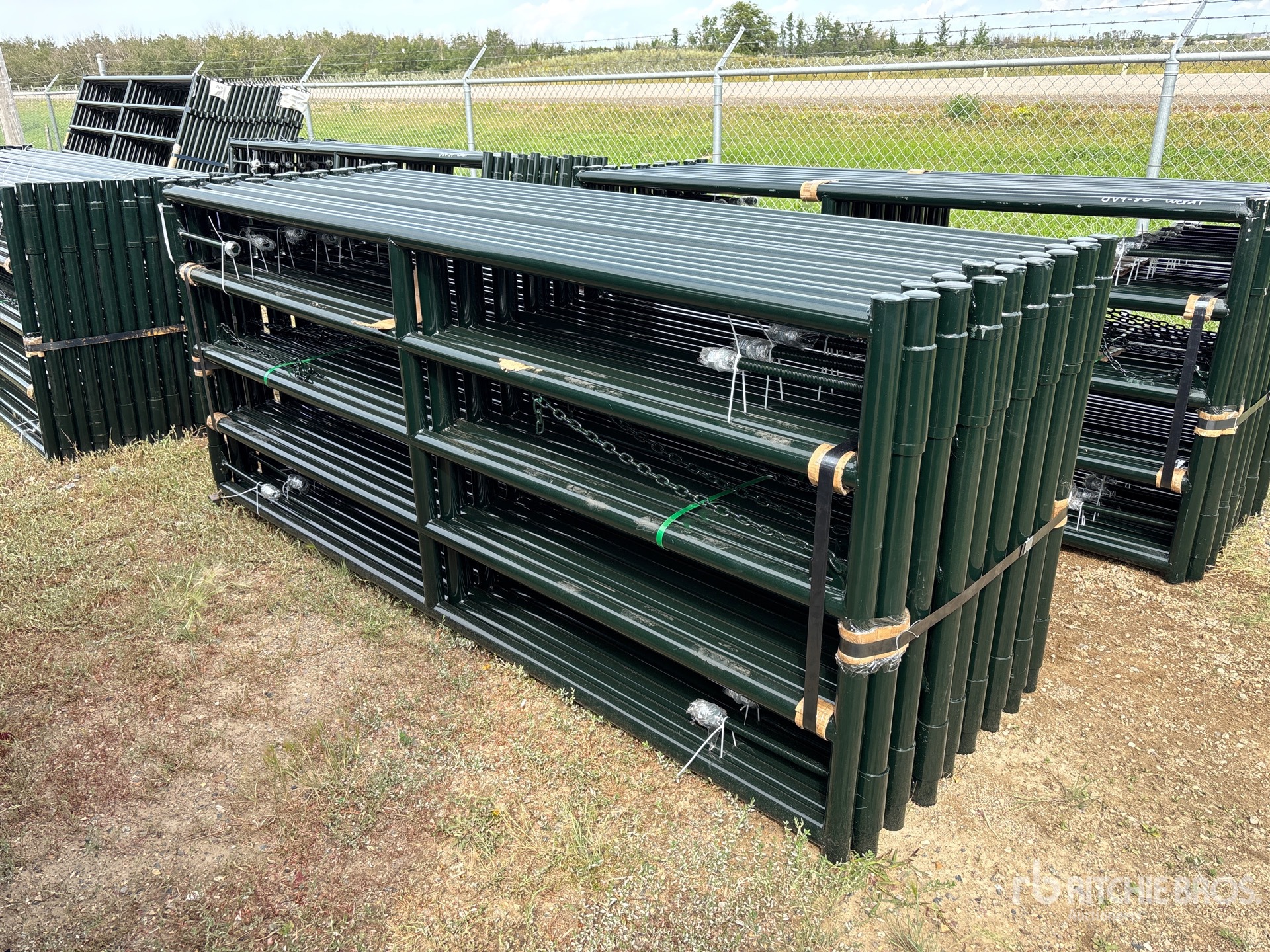 Quantity of (16) 2026 BYT MRG100 10 ft x 4 ft Magnum Ranch Livestock Gate (Unused)