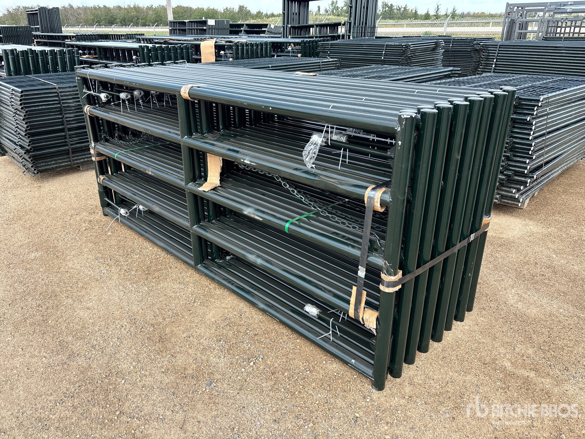 Quantity of (16) 2026 BYT MRG100 10 ft x 4 ft Magnum Ranch Livestock Gate (Unused)