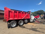 General Appearance with Paint