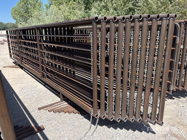 Quantity of (10) Lone Star 24 ft x 5 ft Livestock Panel (Unused)