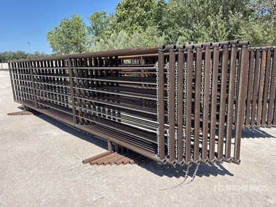 Quantity of (10) Lone Star 24 ft x 5 ft Vee Paneel (Unused)