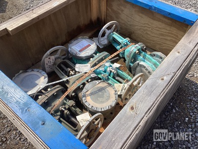 (4) Gate Valves