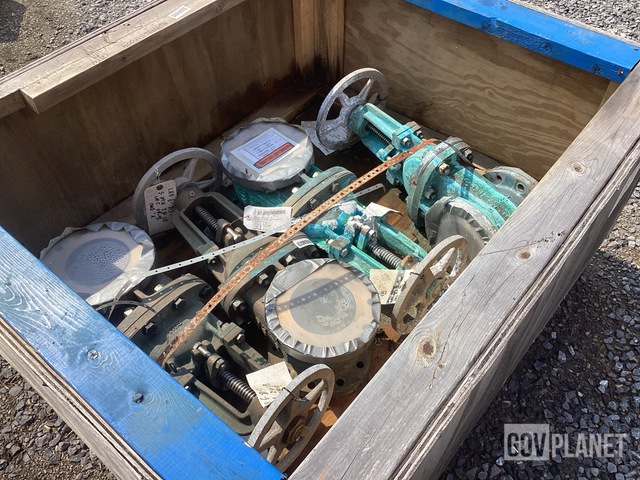 (4) Gate Valves
