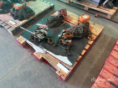 Quantity of (4) Miscellaneous Chain Hoists