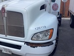 General Appearance with Paint