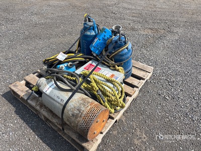 Quantity of Wasserpumpe