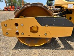 General Appearance with Paint