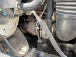 Engine with Exhaust System