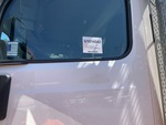 General Appearance with Paint