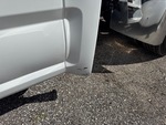General Appearance with Paint