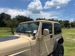 General Appearance with Paint
