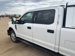 General Appearance with Paint