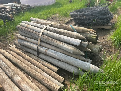 Quantity of (30) 6 ft Fence Post