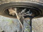 Brakes with