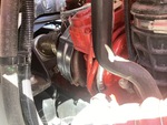 Engine with Exhaust System
