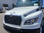 General Appearance with Paint