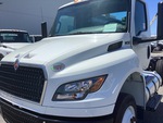 General Appearance with Paint