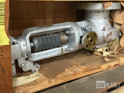 Pentair Valves & Controls A48377 MOD 2 Pressure & Temperature Relief Valve