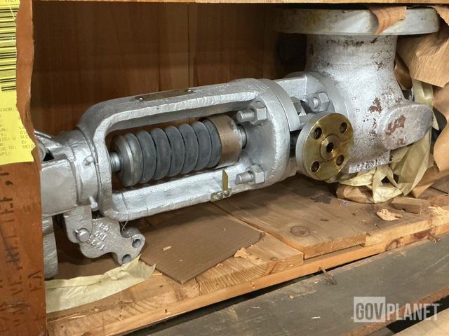 Pentair Valves & Controls A48377 MOD 2 Pressure & Temperature Relief Valve