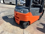 General Appearance with Paint