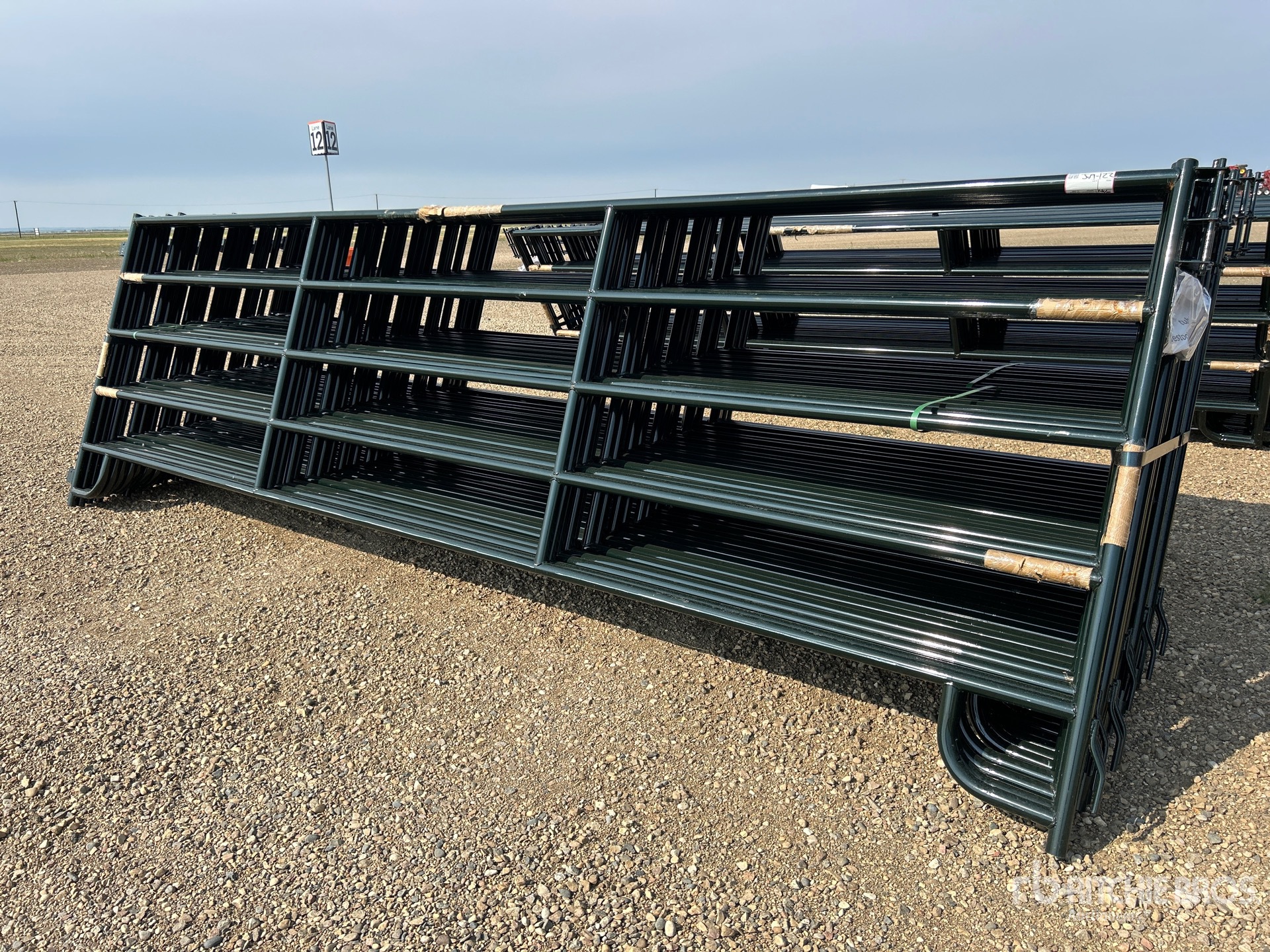 Quantity of (24) 2025 BYT RP160 16 ft x 5 ft Ranch Livestock Panel (Unused)