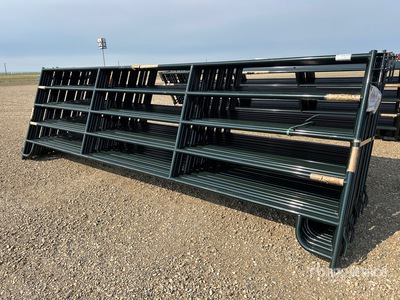 Quantity of (24) 2025 BYT RP160 16 ft x 5 ft Ranch Recinto per bestiame (Unused)