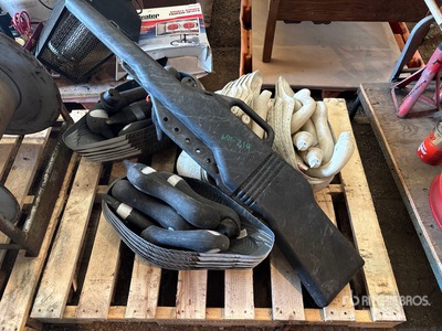 Quantity of Duck Decoys