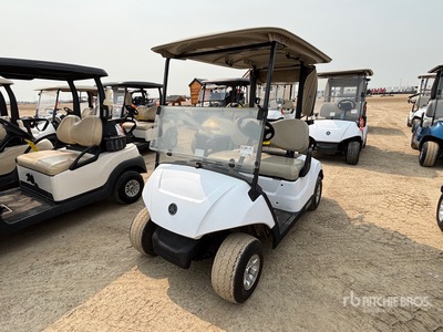 2018 Yamaha DR2E18 Electric Golf Cart