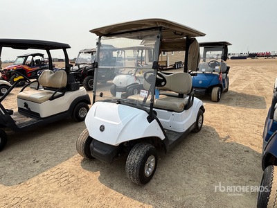 2018 Drive AAA YDR-E18 Electric Golf Cart