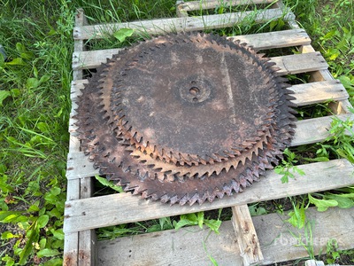 Quantity of Saw Blade
