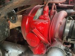Engine with Exhaust System