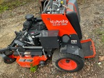 General Appearance with Paint