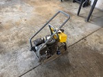 Picture, Right Rear Corner