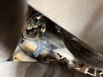 Drivetrain with Transmission