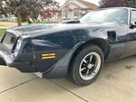 General Appearance with Paint