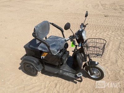 SDLOOL SL-D3 Three-Wheeled Electric Cart