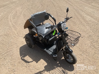 SDLOOL SL-D3 Three-Wheeled Electric Cart