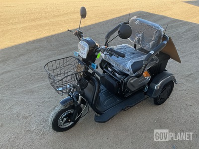 SDLOOL SL-D3 Three-Wheeled Electric Cart