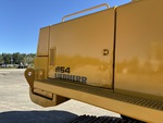 General Appearance with Paint
