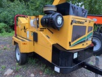 General Appearance with Paint