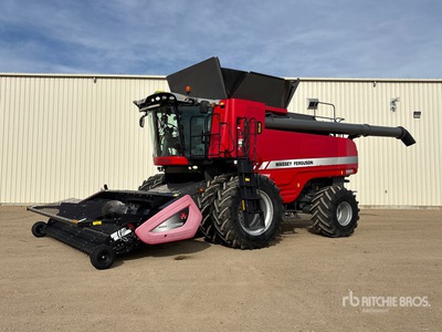 2019 Massey Ferguson 9565 Mietitrebbia